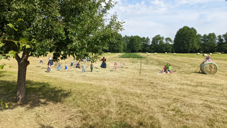 Traditionelle Heuernte