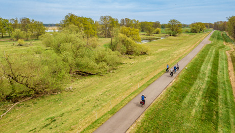 Radfahrer auf dem Oder Neiße Radweg