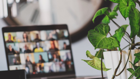 Blätter einer Zimmerpflanze, im Hintergrund ein Online-Meeting auf einem Computerbildschirm