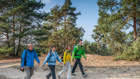 Wanderer auf einer Binnendüne in Storkow