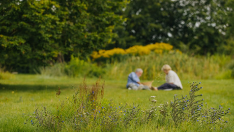 Wiese im Birnengarten von Ribbeck